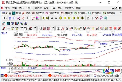 遠(yuǎn)達(dá)控股強(qiáng)勢(shì)漲停，業(yè)績(jī)大幅預(yù)增與國(guó)內(nèi)貿(mào)易代理業(yè)務(wù)成關(guān)鍵驅(qū)動(dòng)力